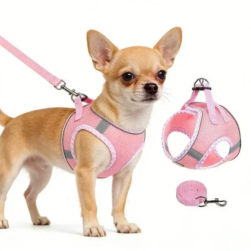 2Pcs Dog Harness and Leash Set, Adjustable No Pull Dog Chest Strap, Outdoor Walking Pet Supplies for Small Medium Large Dogs Reflective Step-In Dog Harness & Leash Set, Soft Mesh No Pull Puppy Vest Harness, Adjustable Lightweight Walking Gear Campingessen