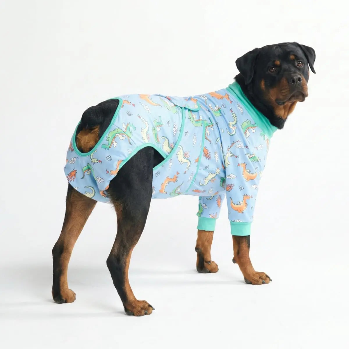 Spark Paws Dog Surgery Recovery Suit – Dog Recovery Suit after Surgery, Anti-Lick Dog Onesie, Abdominal Wound Protector, Soft Cone Alternative for Spay Neuter Male Female Pet Recovery - Donuts - S