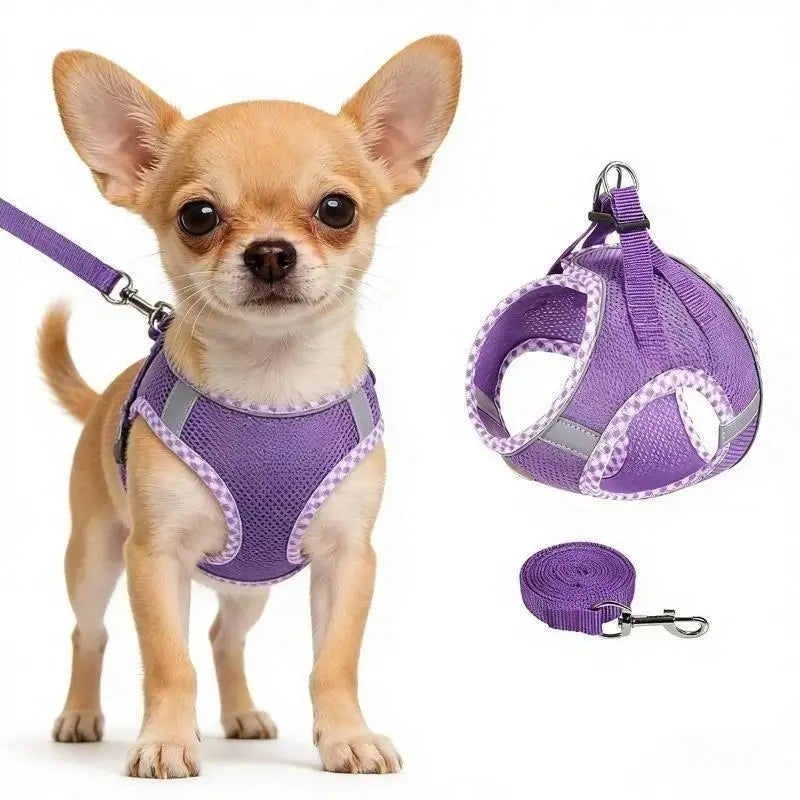 2Pcs Dog Harness and Leash Set, Adjustable No Pull Dog Chest Strap, Outdoor Walking Pet Supplies for Small Medium Large Dogs Reflective Step-In Dog Harness & Leash Set, Soft Mesh No Pull Puppy Vest Harness, Adjustable Lightweight Walking Gear Campingessen